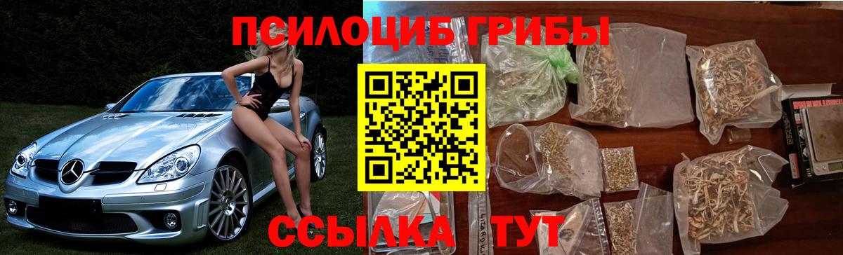 Можайск  Псилоцибиновые грибы ЛСД  Вход с VPN 